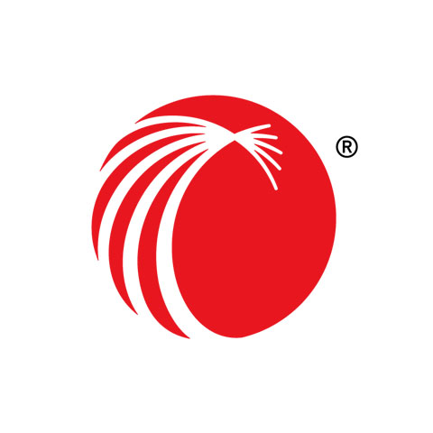 Lexis Nexis logo